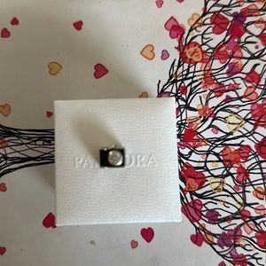 Pandora Camera Charm